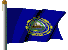 State Flag