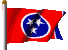 State Flag