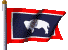 State Flag
